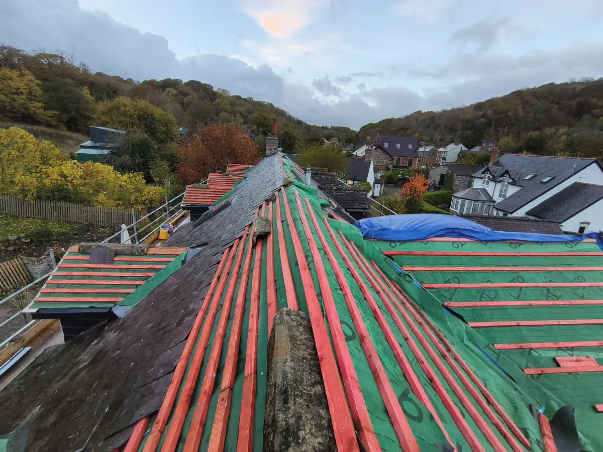 Our roof, half stripped