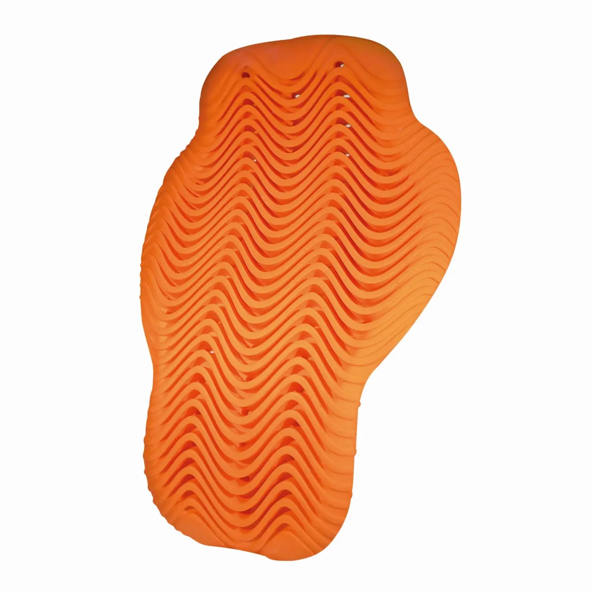back protector